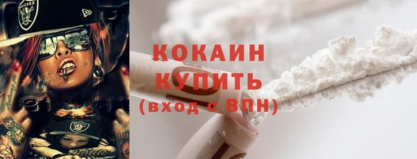 гашик Краснослободск