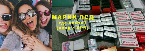 гашик Краснослободск