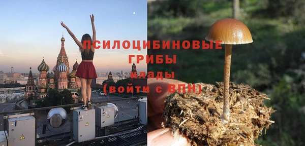 гашик Краснослободск