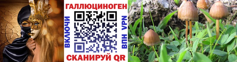 Галлюциногенные грибы ЛСД  Купить где  Шадринск 